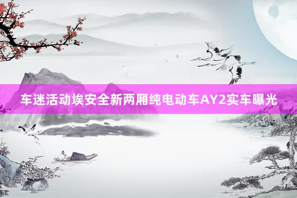 车迷活动埃安全新两厢纯电动车AY2实车曝光