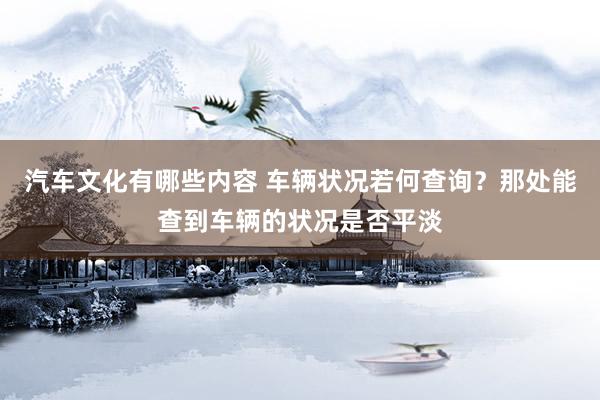 汽车文化有哪些内容 车辆状况若何查询？那处能查到车辆的状况是否平淡