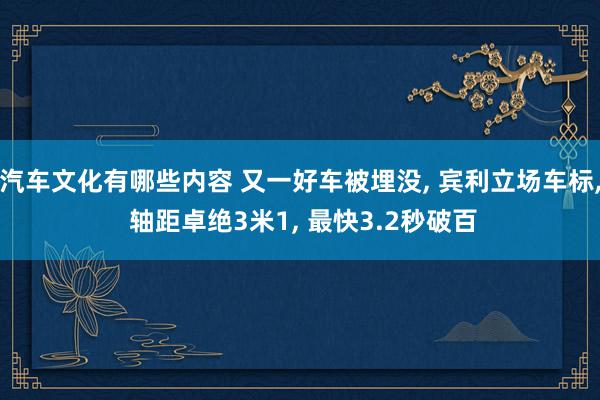 汽车文化有哪些内容 又一好车被埋没, 宾利立场车标, 轴距卓绝3米1, 最快3.2秒破百