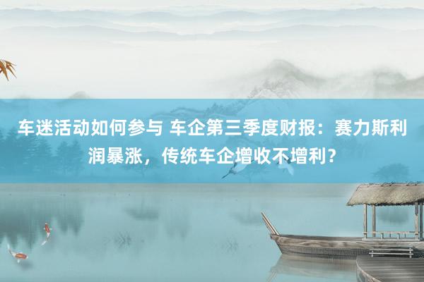 车迷活动如何参与 车企第三季度财报：赛力斯利润暴涨，传统车企增收不增利？