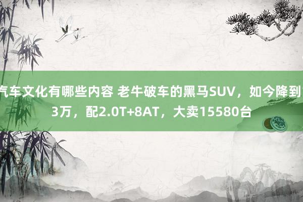 汽车文化有哪些内容 老牛破车的黑马SUV，如今降到13万，配2.0T+8AT，大卖15580台