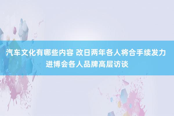 汽车文化有哪些内容 改日两年各人将合手续发力 进博会各人品牌高层访谈