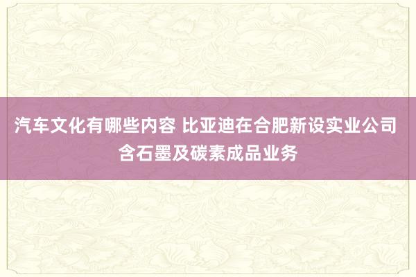 汽车文化有哪些内容 比亚迪在合肥新设实业公司 含石墨及碳素成品业务