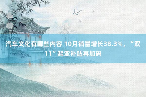 汽车文化有哪些内容 10月销量增长38.3%，“双11”起亚补贴再加码