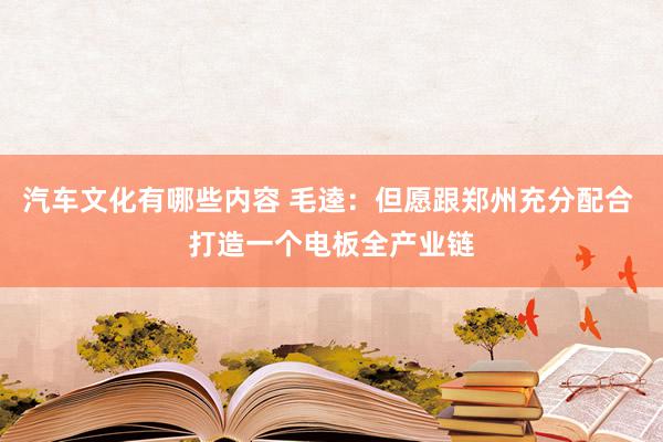 汽车文化有哪些内容 毛逵：但愿跟郑州充分配合 打造一个电板全产业链