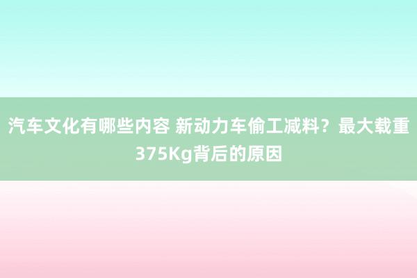 汽车文化有哪些内容 新动力车偷工减料？最大载重375Kg背后的原因