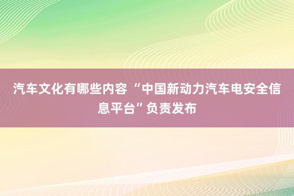 汽车文化有哪些内容 “中国新动力汽车电安全信息平台”负责发布