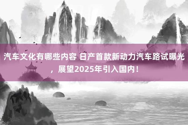 汽车文化有哪些内容 日产首款新动力汽车路试曝光，展望2025年引入国内！