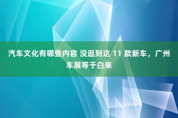 汽车文化有哪些内容 没逛到这 11 款新车，广州车展等于白来