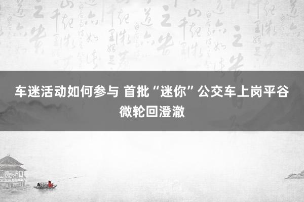 车迷活动如何参与 首批“迷你”公交车上岗平谷微轮回澄澈