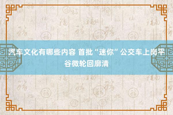 汽车文化有哪些内容 首批“迷你”公交车上岗平谷微轮回廓清