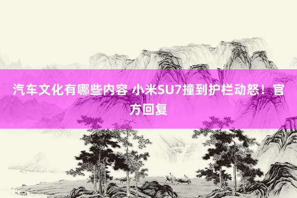 汽车文化有哪些内容 小米SU7撞到护栏动怒！官方回复