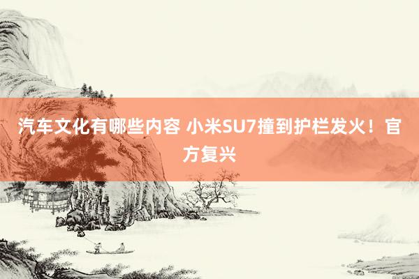 汽车文化有哪些内容 小米SU7撞到护栏发火！官方复兴