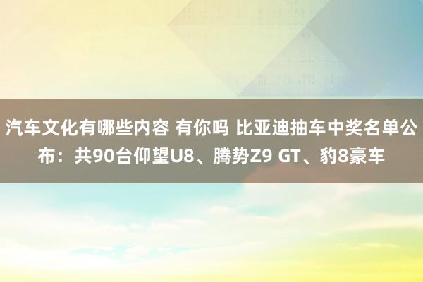 汽车文化有哪些内容 有你吗 比亚迪抽车中奖名单公布：共90台仰望U8、腾势Z9 GT、豹8豪车