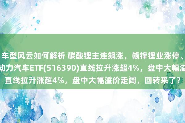 车型风云如何解析 碳酸锂主连飙涨，赣锋锂业涨停、宁德时期涨3%，新动力汽车ETF(516390)直线拉升涨超4%，盘中大幅溢价走阔，回转来了？