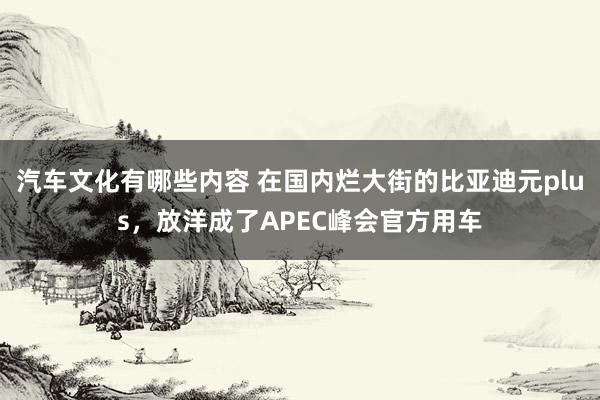 汽车文化有哪些内容 在国内烂大街的比亚迪元plus，放洋成了APEC峰会官方用车