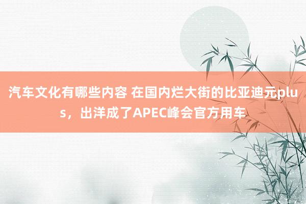 汽车文化有哪些内容 在国内烂大街的比亚迪元plus，出洋成了APEC峰会官方用车