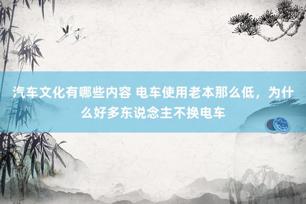 汽车文化有哪些内容 电车使用老本那么低，为什么好多东说念主不换电车