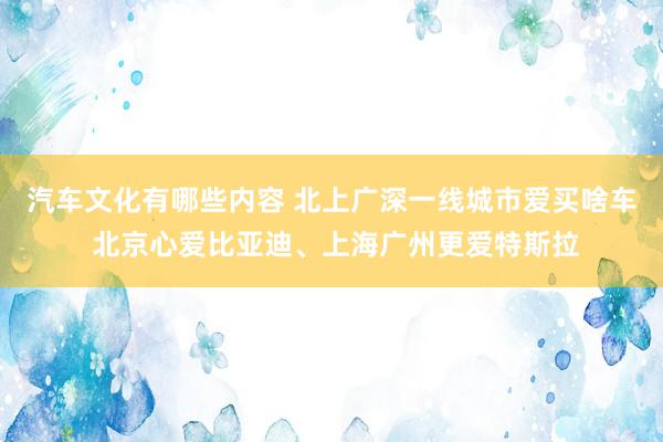 汽车文化有哪些内容 北上广深一线城市爱买啥车 北京心爱比亚迪、上海广州更爱特斯拉