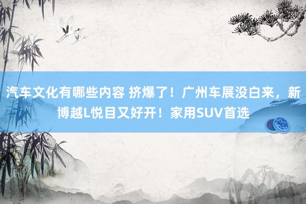 汽车文化有哪些内容 挤爆了！广州车展没白来，新博越L悦目又好开！家用SUV首选