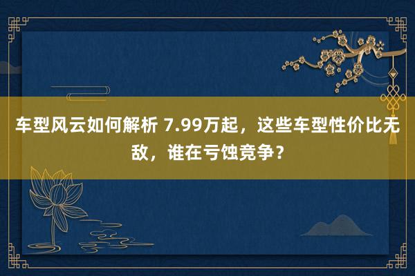 车型风云如何解析 7.99万起，这些车型性价比无敌，谁在亏蚀竞争？