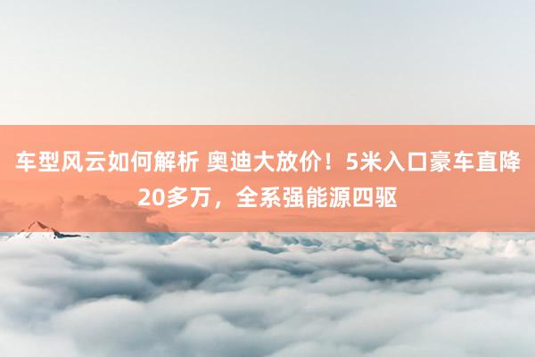 车型风云如何解析 奥迪大放价！5米入口豪车直降20多万，全系强能源四驱