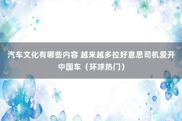 汽车文化有哪些内容 越来越多拉好意思司机爱开中国车（环球热门）