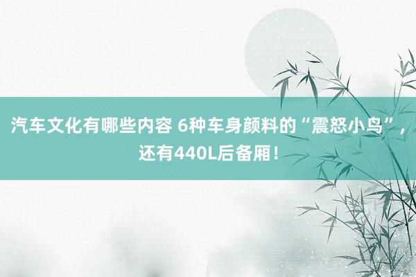 汽车文化有哪些内容 6种车身颜料的“震怒小鸟”，还有440L后备厢！