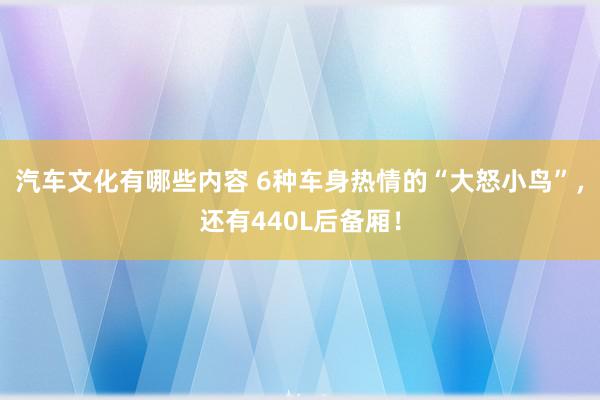 汽车文化有哪些内容 6种车身热情的“大怒小鸟”，还有440L后备厢！