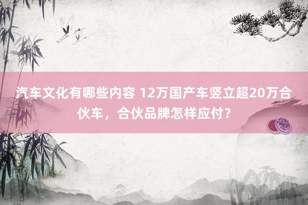 汽车文化有哪些内容 12万国产车竖立超20万合伙车，合伙品牌怎样应付？