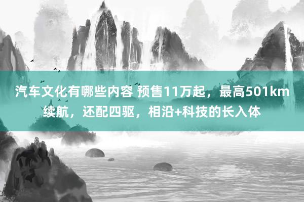 汽车文化有哪些内容 预售11万起，最高501km续航，还配四驱，相沿+科技的长入体