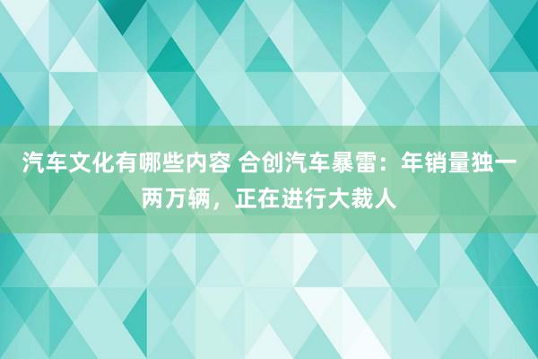 汽车文化有哪些内容 合创汽车暴雷：年销量独一两万辆，正在进行大裁人