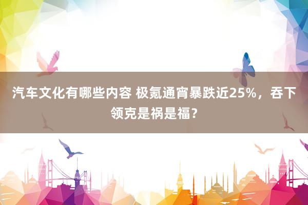 汽车文化有哪些内容 极氪通宵暴跌近25%，吞下领克是祸是福？