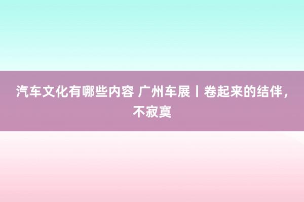 汽车文化有哪些内容 广州车展丨卷起来的结伴，不寂寞