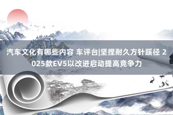 汽车文化有哪些内容 车评台|坚捏耐久方针蹊径 2025款EV5以改进启动提高竞争力