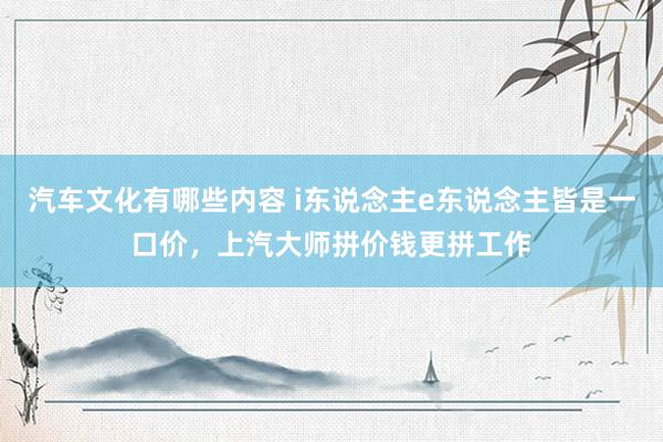 汽车文化有哪些内容 i东说念主e东说念主皆是一口价，上汽大师拼价钱更拼工作