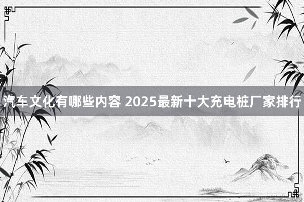 汽车文化有哪些内容 2025最新十大充电桩厂家排行