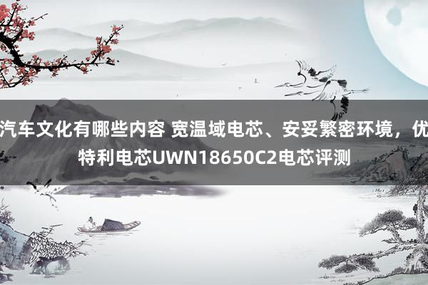 汽车文化有哪些内容 宽温域电芯、安妥繁密环境，优特利电芯UWN18650C2电芯评测