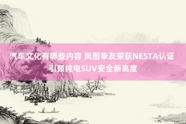 汽车文化有哪些内容 岚图挚友荣获NESTA认证 引颈纯电SUV安全新高度