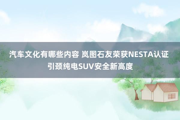 汽车文化有哪些内容 岚图石友荣获NESTA认证 引颈纯电SUV安全新高度