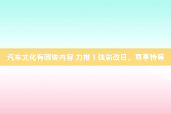 汽车文化有哪些内容 力推丨独霸改日，尊享特等