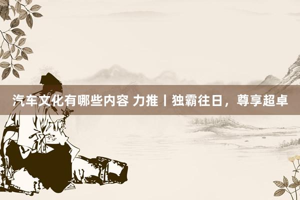 汽车文化有哪些内容 力推丨独霸往日，尊享超卓