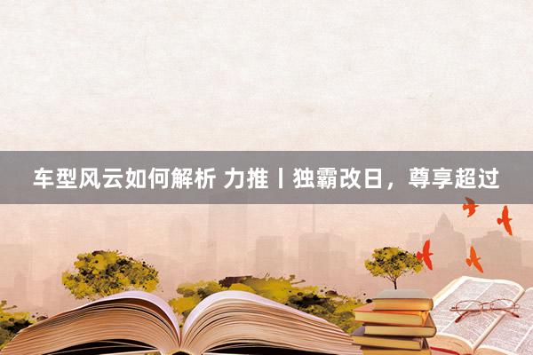 车型风云如何解析 力推丨独霸改日，尊享超过