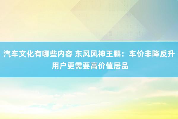 汽车文化有哪些内容 东风风神王鹏：车价非降反升 用户更需要高价值居品