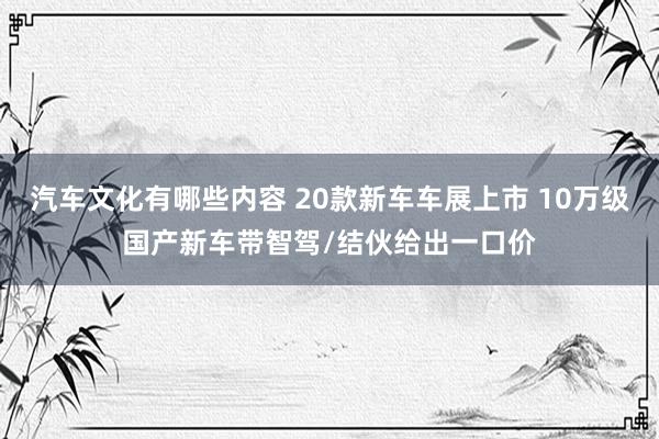 汽车文化有哪些内容 20款新车车展上市 10万级国产新车带智驾/结伙给出一口价