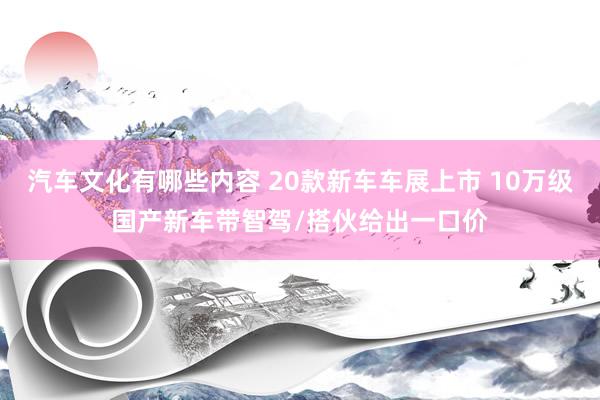 汽车文化有哪些内容 20款新车车展上市 10万级国产新车带智驾/搭伙给出一口价