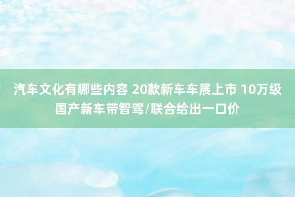 汽车文化有哪些内容 20款新车车展上市 10万级国产新车带智驾/联合给出一口价