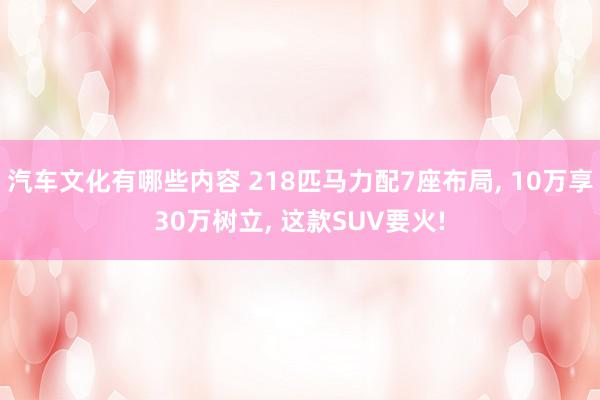 汽车文化有哪些内容 218匹马力配7座布局, 10万享30万树立, 这款SUV要火!