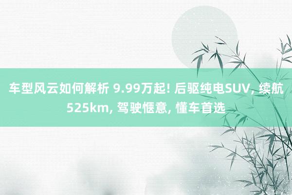 车型风云如何解析 9.99万起! 后驱纯电SUV, 续航525km, 驾驶惬意, 懂车首选