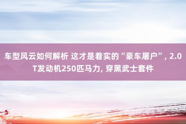 车型风云如何解析 这才是着实的“豪车屠户”, 2.0T发动机250匹马力, 穿黑武士套件